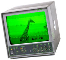 Monitor